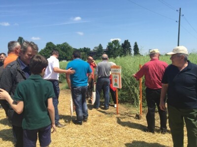 Centralni dan KWS sorti i hibrida pšenice, ječma, raži i uljane repice
