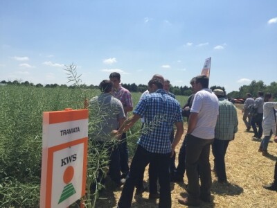 Centralni dan KWS sorti i hibrida pšenice, ječma, raži i uljane repice