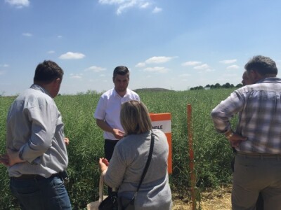 Centralni dan KWS sorti i hibrida pšenice, ječma, raži i uljane repice