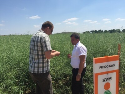 Centralni dan KWS sorti i hibrida pšenice, ječma, raži i uljane repice