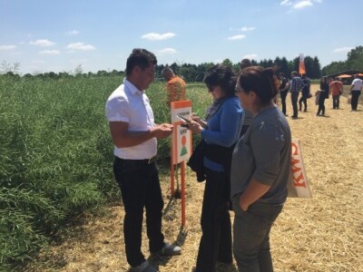 Centralni dan KWS sorti i hibrida pšenice, ječma, raži i uljane repice