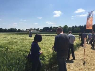 Centralni dan KWS sorti i hibrida pšenice, ječma, raži i uljane repice