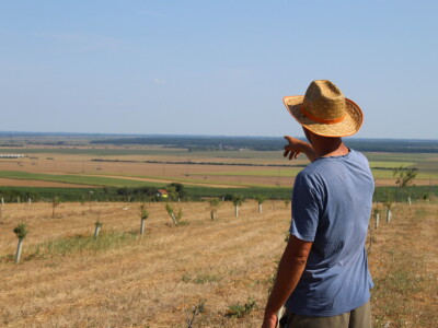 OPG Oliver Pavić, Branjin Vrh