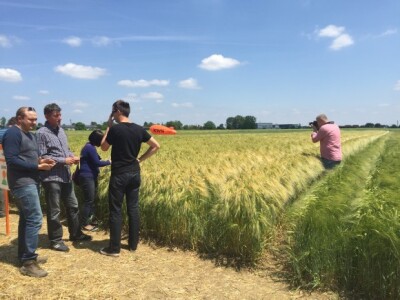 Centralni dan KWS sorti i hibrida pšenice, ječma, raži i uljane repice
