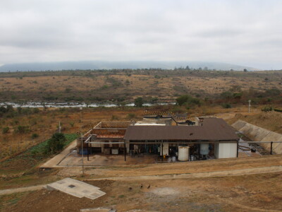 Prerada piletine u Keniji