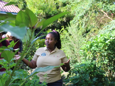 Banka sjemena u Keniji Banka sjemena u Keniji