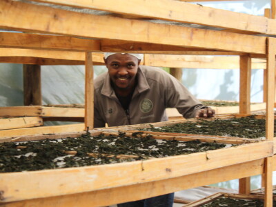 Banka sjemena u Keniji Banka sjemena u Keniji