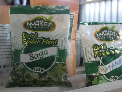 Banka sjemena u Keniji Banka sjemena u Keniji