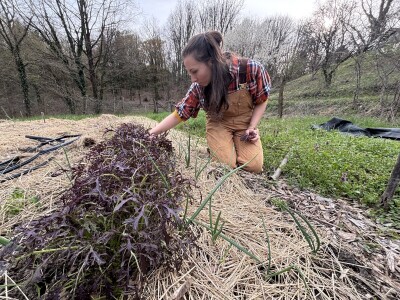Mala znanost u skupljanju i čuvanju sjemena Mala znanost u skupljanju i čuvanju sjemena