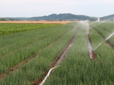 Navodnjavanje s Akplas sustavom