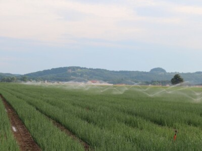 Navodnjavanje s Akplas sustavom