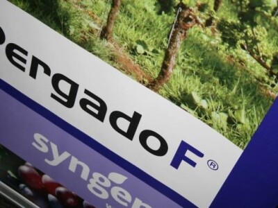 Prezentacija Syngentinih rješenja u vinogradarstvu