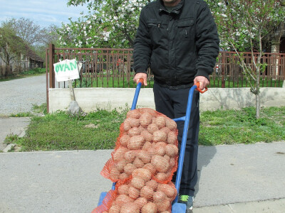 Sa uzgajivačima krumpira u Velikim Zdencima Sa uzgajivačima krumpira u Velikim Zdencima