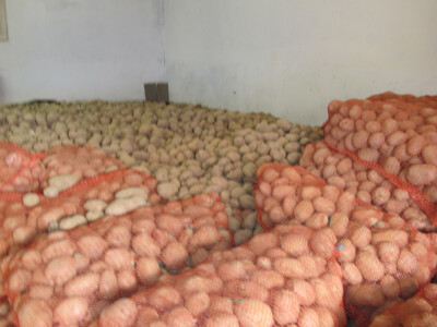 Luk tri kune, krumpir već osamdeset lipa za kilogram