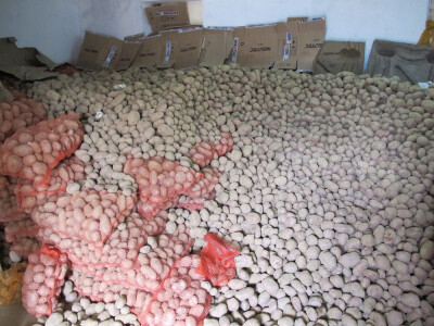 Luk tri kune, krumpir već osamdeset lipa za kilogram