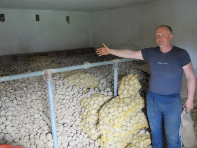 Luk tri kune, krumpir već osamdeset lipa za kilogram