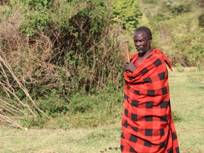 Maasai pleme