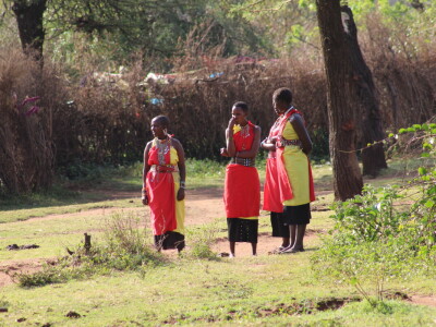 Maasai pleme