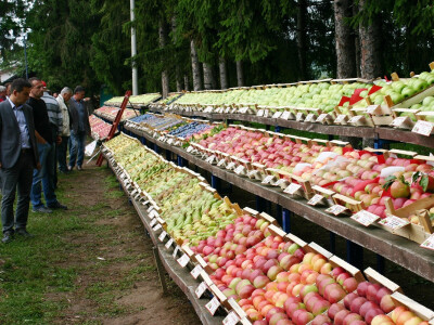Bogata izložba voća