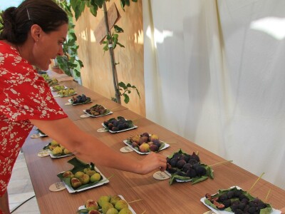 1. rovinjski Dani smokava