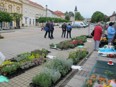 Dvije manifestacije u sklopu Dana grada Daruvara