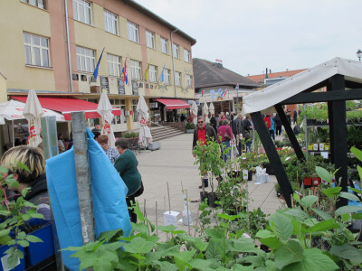 Dvije manifestacije u sklopu Dana grada Daruvara