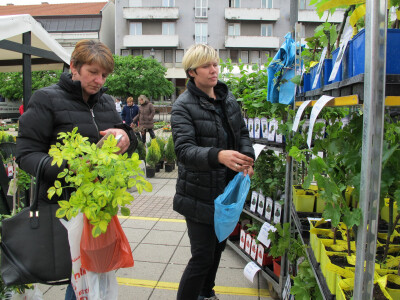 Dvije manifestacije u sklopu Dana grada Daruvara