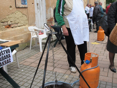 Dvije manifestacije u sklopu Dana grada Daruvara