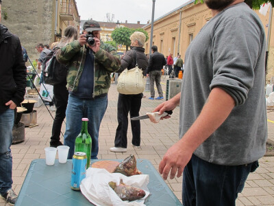 Dvije manifestacije u sklopu Dana grada Daruvara