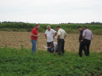 Održani Dani polja krumpira u Hercegovcu