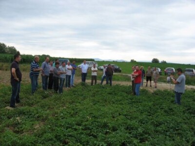 Održani Dani polja krumpira u Hercegovcu