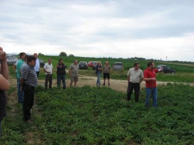 Održani Dani polja krumpira u Hercegovcu