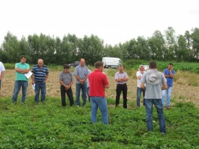 Održani Dani polja krumpira u Hercegovcu