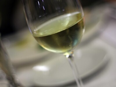 Predstavljena vina vinarije Gracin i Grgić vina