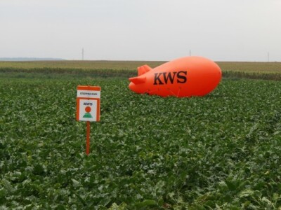 Dan polja šećerne repe KWS-a