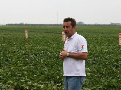 Dražen Jurišić, managing direktor Odjela za šećernu repu i žitarice KWS-a