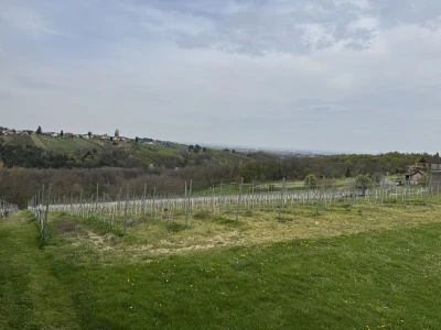 Vinarija Košćak