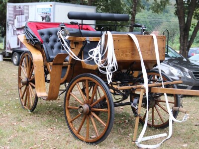 Druga "Fijakerijada" u Prnjavoru