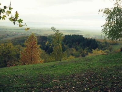 Jesen u Kutjevačkim vinogradima