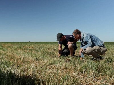 Voditelji poljoprivrednih emisija iza i ispred kamere