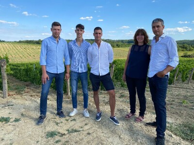 Strojno branje grožđa