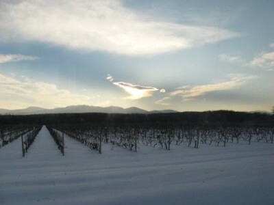 Slavonija pod snijegom