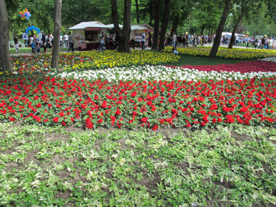 Osvrt na međunarodni Festival cvijeća  u Zagrebu 52. Floraart
