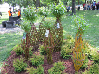 Osvrt na međunarodni Festival cvijeća  u Zagrebu 52. Floraart