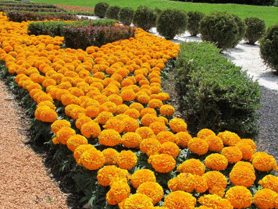 Osvrt na međunarodni Festival cvijeća  u Zagrebu „52. FLORAART“