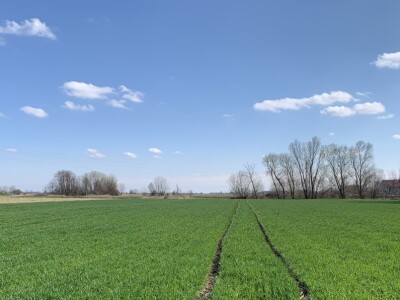 Herbicid LANCELOT 450 WG Herbicid LANCELOT 450 WG