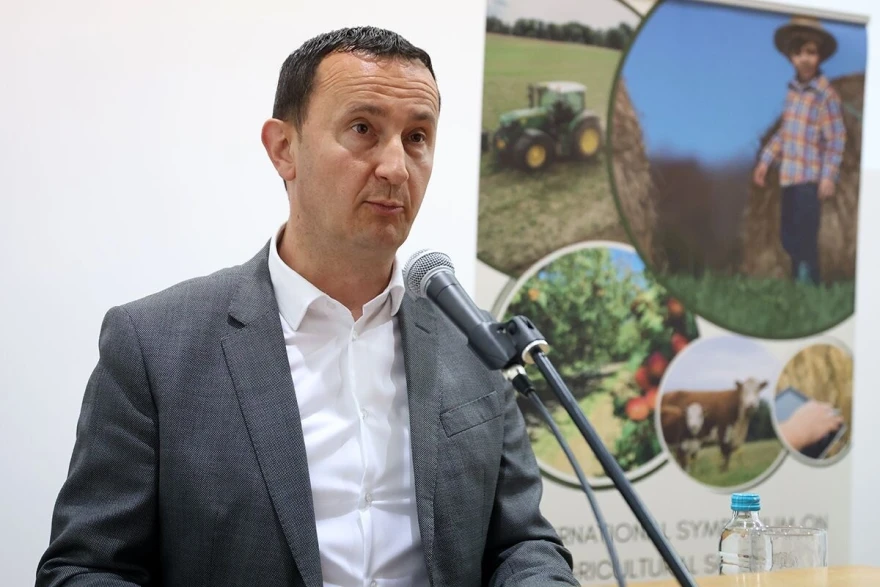 Mirko Ćurić