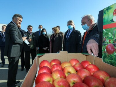 Uspjeh Kovačevića sa Baštice: Elimirali herbicide, udvostručili prinose, dobili Global Gap i osvojili  europske trgovačke lance Uspjeh Kovačevića sa Baštice: Elimirali herbicide, udvostručili prinose, dobili Global Gap i osvojili  europske trgovačke lance