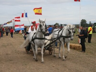 Drugi dan 59. svjetskog natjecanja u oranju