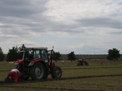 Drugi dan 59. svjetskog natjecanja u oranju